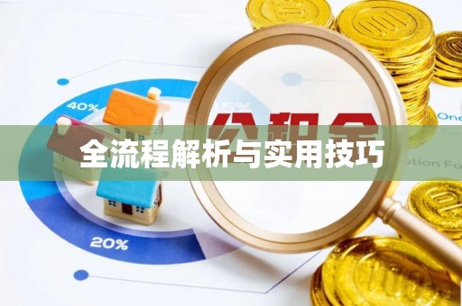 清流全流程解析与实用技巧