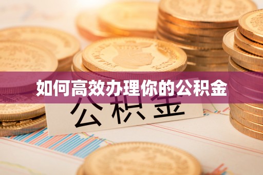 清流如何高效办理你的公积金