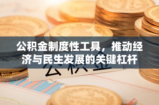 清流公积金制度性工具，推动经济与民生发展的关键杠杆