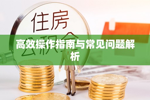 清流高效操作指南与常见问题解析