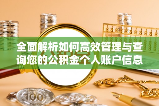 清流全面解析如何高效管理与查询您的公积金个人账户信息