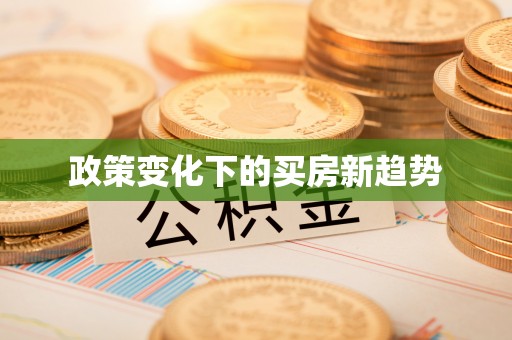 清流政策变化下的买房新趋势