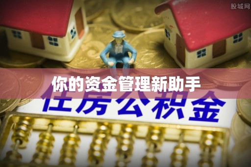 清流你的资金管理新助手