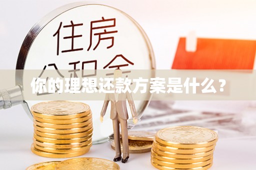 清流你的理想还款方案是什么？