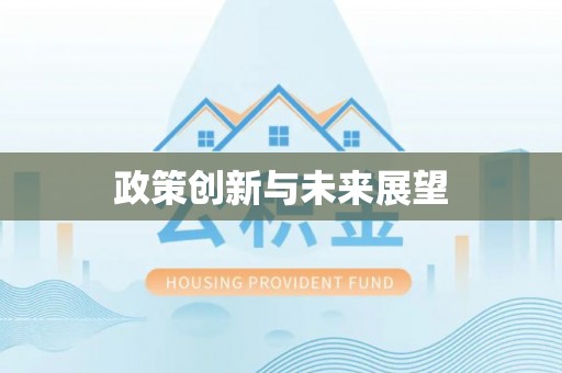 清流政策创新与未来展望