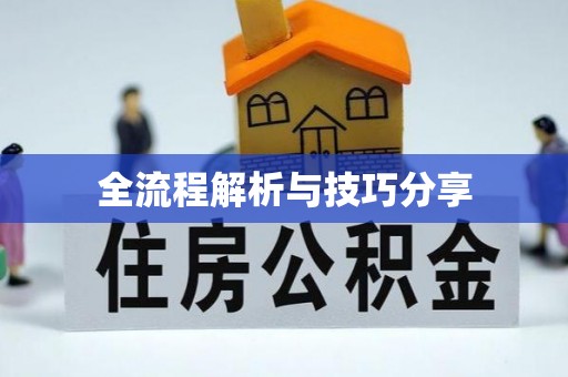 清流全流程解析与技巧分享