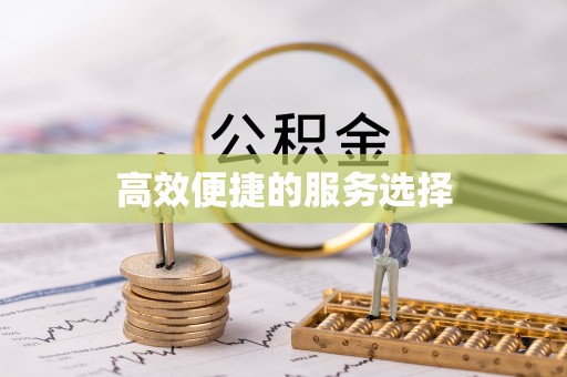 清流高效便捷的服务选择