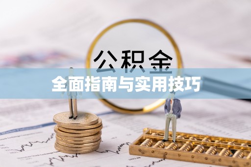 清流全面指南与实用技巧